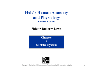 PowerPoint to accompany Hole's Human Anatomy and Physiology