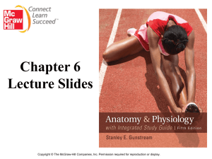 Anatomy and Physiology with Integrated Study Guide Third Edition