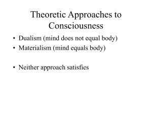 Theoretic Approaches to Consciousness_BOURKE