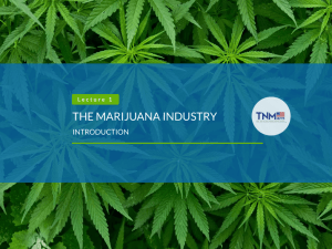 The Marijuana Industry Part 1