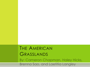 The American Grasslands