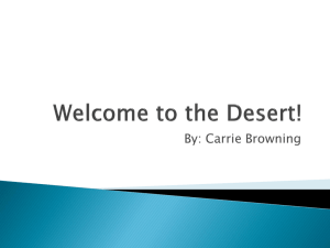 the Desert! - WordPress.com