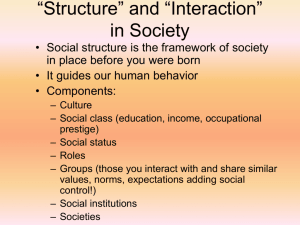 Social Structure, Social Interaction, Groups, and Formal Organization