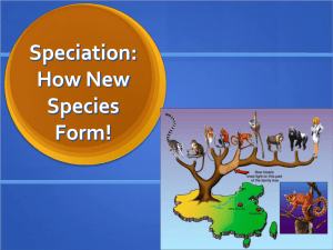 Speciation: formation of new species!