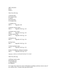 A&P 1 Fall 2011 Russo Exam 4 Match the following: A) Parietal lobe