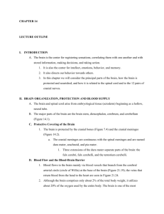ch14 outline