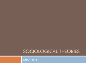 sociological theories