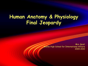 anatomy_final_Jeopardy