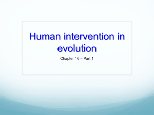 Human intervention in evolution