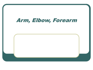 Arm and Elbow