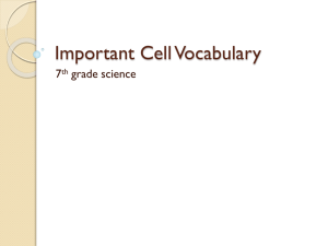 Important Cell Vocabulary