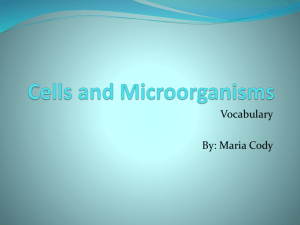 Cells and Microorganisms vocab