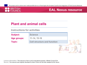 Instructions for activities  - EAL Nexus