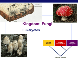 Fungi - Explore Biology