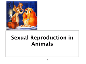 8 Human Reproduction