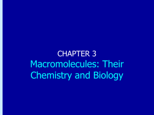 Chapter 3: Macromolecules: Their Chemistry and Biology