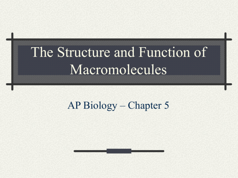 The Structure and Function of Macromolecules