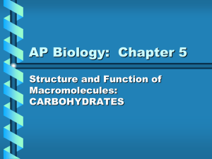 AP Biology ch. 5