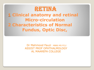 Retina Anatomy and examination