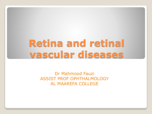 10 Retina And Retinal Vascular Disorders