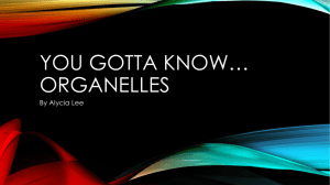 You Gotta know* organelles