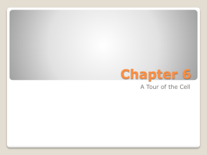 Unit 2 - Chapter 6