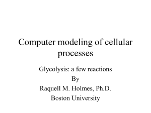 Modeling glycolysis: a few reactions