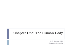 Chapter One: The Human Body