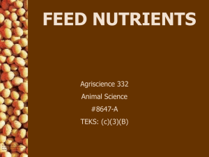 Feed Nutrients PP