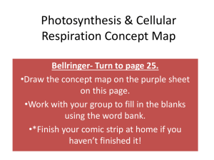 Photosynthesis & Cellular Respiration Concept Map