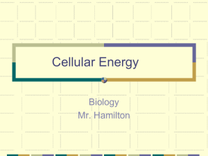 Cellular Energy - Monroe County Schools