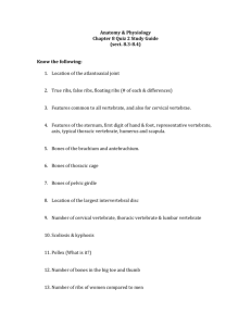 Anatomy & Physiology Chapter 8 Quiz 2 Study Guide (sect. 8.3