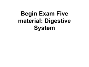 Begin Exam Five material: Digestive System