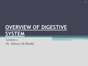 OVERVIEW OF DIGESTIVE SYSTEM