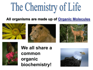 Introduction to Organic Molecules “Biochemistry”