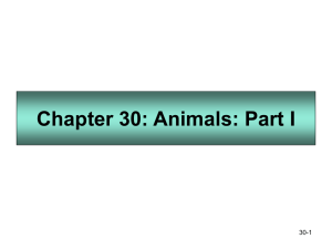 Chapter 30: Animals: Part I - Johnston Community College