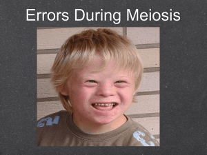 Errors During Meiosis