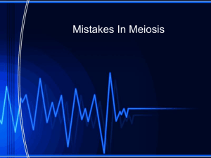 Mistakes In Meiosis