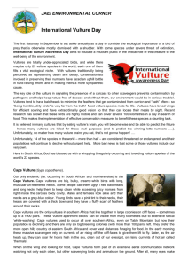 JAEI ENVIRONMENTAL CORNER International Vulture Day