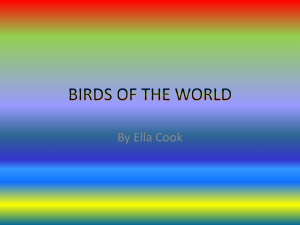 BIRDS OF THE WORLD