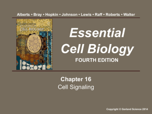 Essential Cell Biology FOURTH EDITION