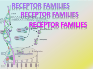 03 1st year receptor families2011-09