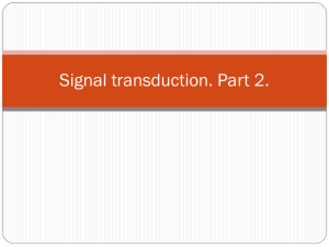 Signal transduction Part 2
