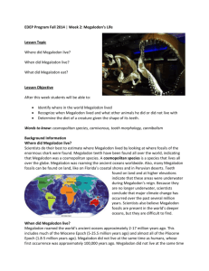 EDEP Program Fall 2014 | Week 2: Megalodon's Life Lesson Topic