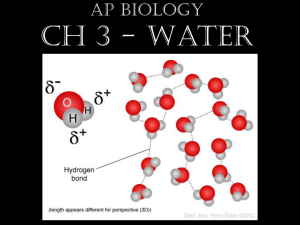 AP Biology Ch 3