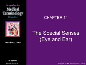 THE SPECIAL SENSES (EYE & EAR) - Delmar - Delmar