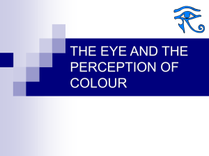 what is the colour?