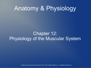 Ch. 12 Physiology of Muscles Notes