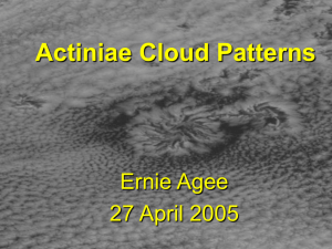 "Actiniae Cloud Patterns." Department of Earth & Atmospheric