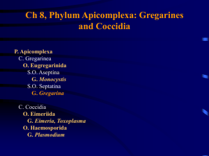 Ch 8, Phylum Apicomplexa: Gregarines and Coccidia